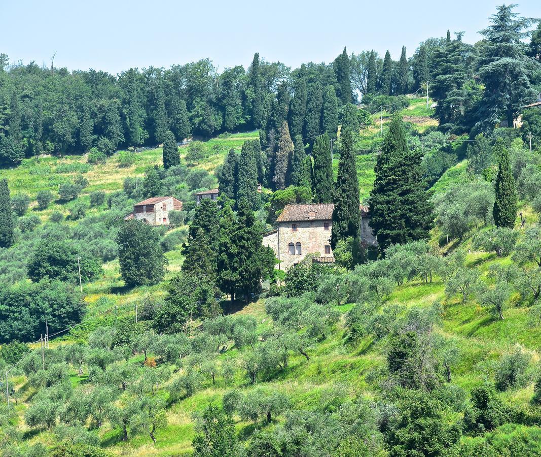 Palazzina Del Chiasso Bed & Breakfast San Martino in Freddana Exterior photo